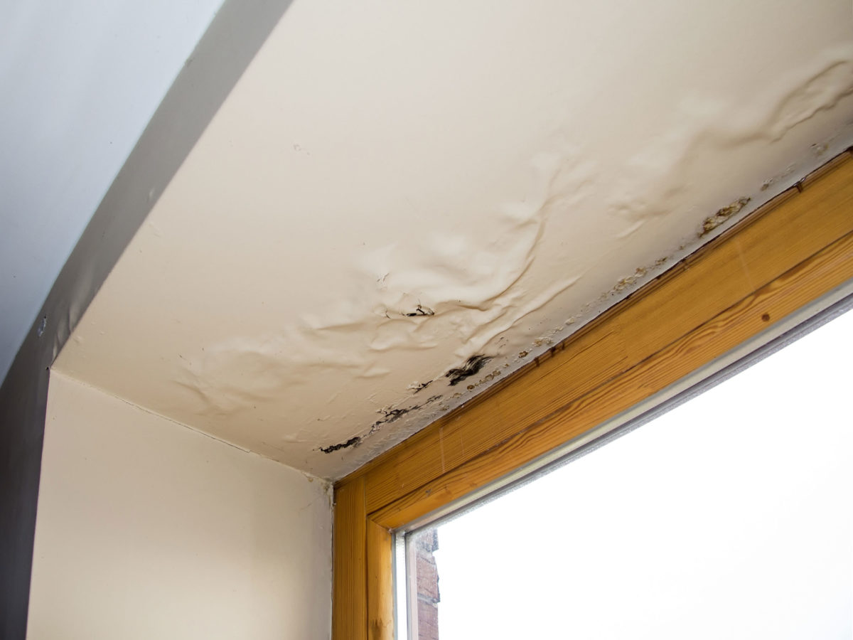 Humidity & Trapped-Moisture Roof Repair in Greenville, SC in Greenville