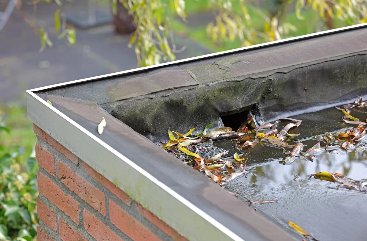 Roof Drains and Scuppers in Greenville, SC in Greenville